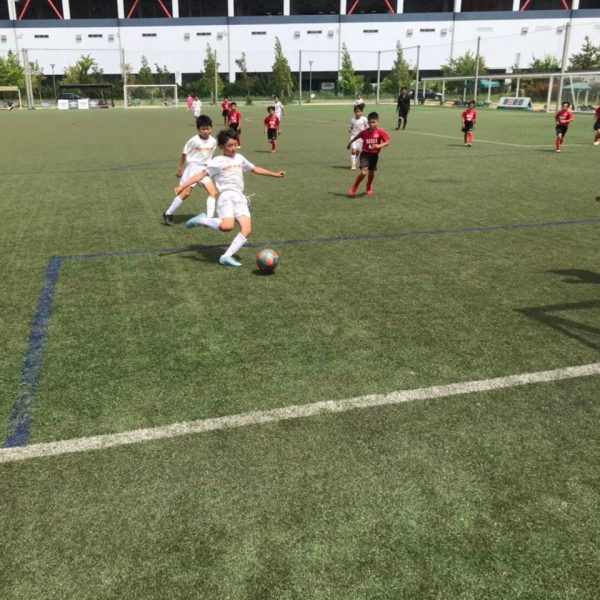 2019年度<br>JCカップU-11少年少女サッカー堺高石大会