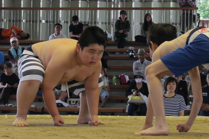 2017年度　わんぱく相撲堺大会